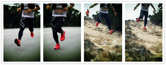 越过山丘，才知道有人等候---冬日里的那一抹红白黑