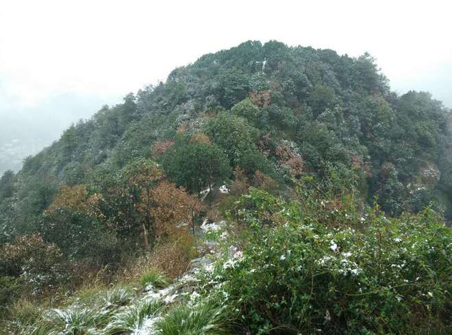 雪战——第一次越野赛