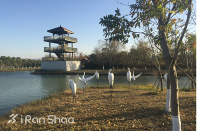 探路 | 2015年马拉松收官之战，苏州太湖马拉松赛道指南