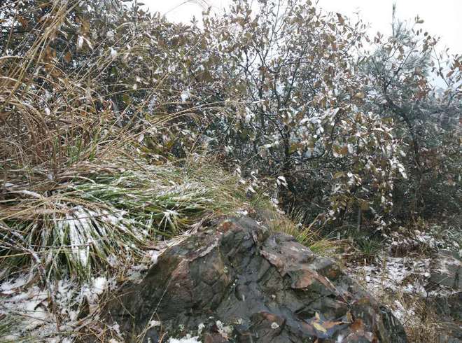 雪战——第一次越野赛