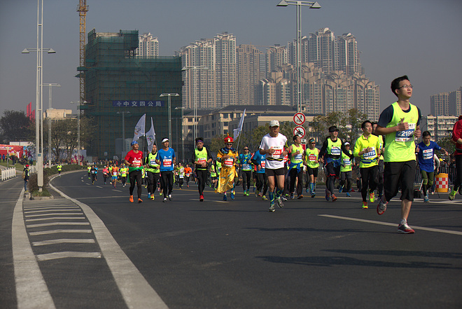 心有猛虎，细嗅蔷薇，南马之后，而立之始