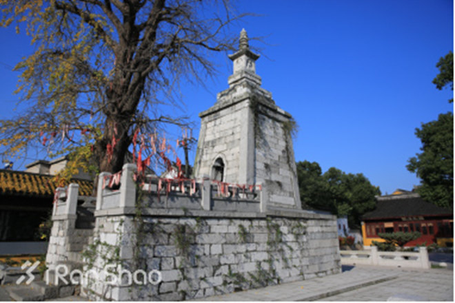 探路 | 2015年马拉松收官之战，苏州太湖马拉松赛道指南