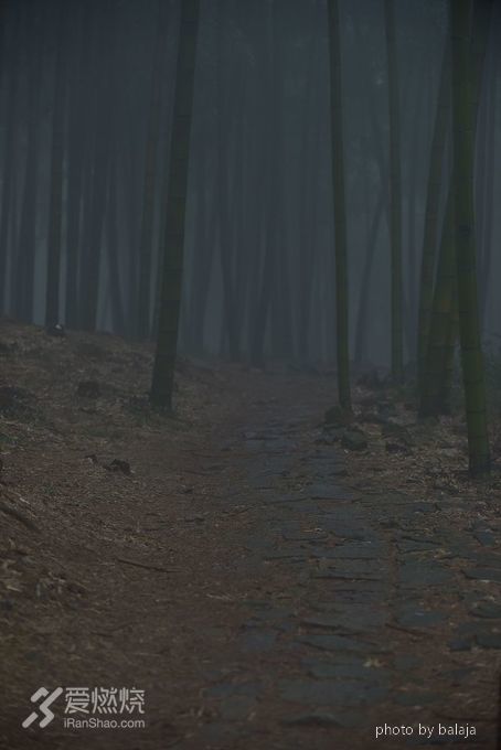 爱上越野爱上你  十全九美莫干山