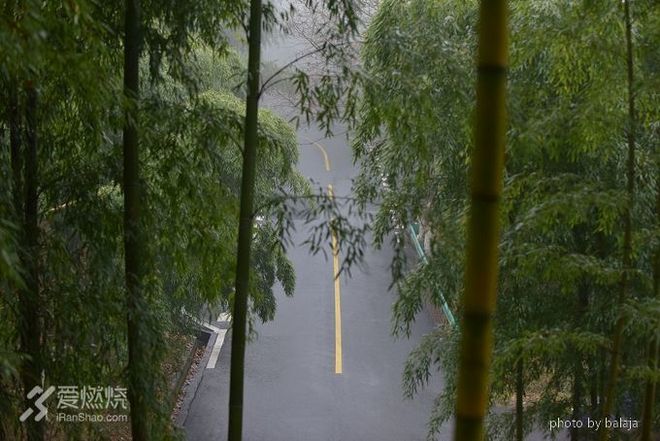 爱上越野爱上你  十全九美莫干山