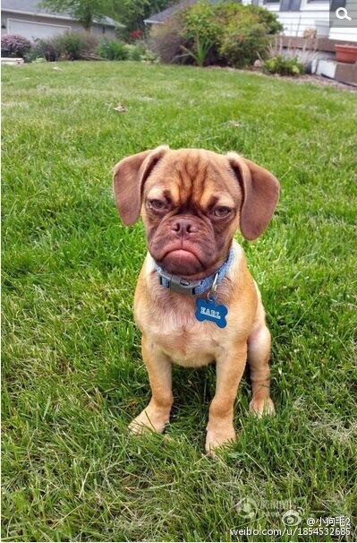 福州山地马拉松之五虎山泥浆越野赛~My first new experience