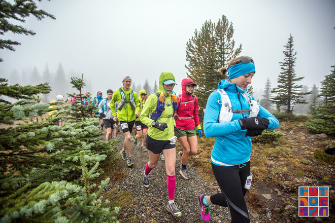 Adventure, Darling——Fat Dog生成记