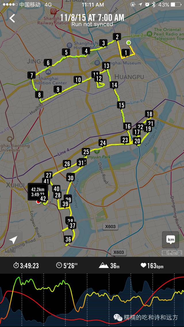 用42.195km，跑出对上海深深的爱