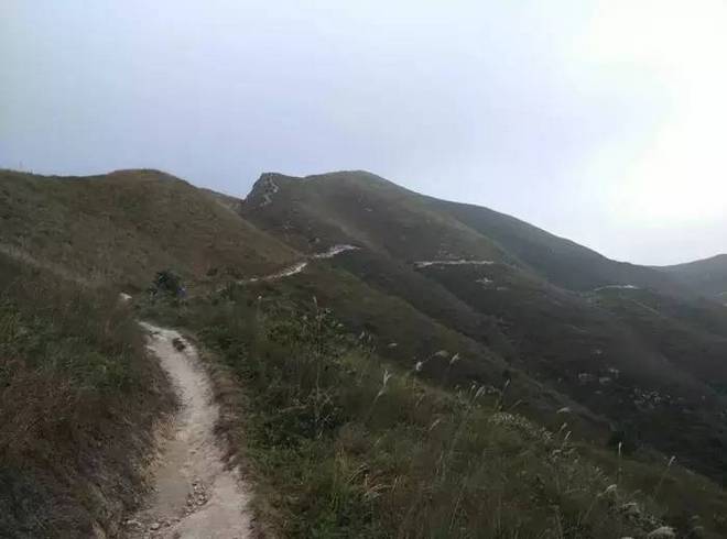香港TNF100 | 越野跑的不是路，而是一种信仰