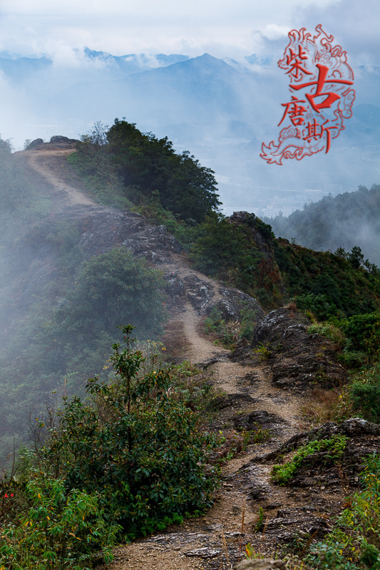 越野小白升级当中，此处省略500字