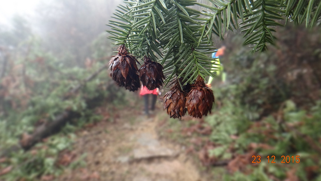 一场穿越千年的时光之旅—黄山百公里越野测线小记