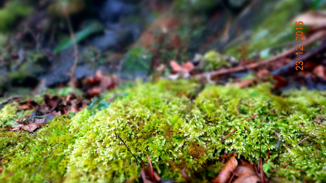 一场穿越千年的时光之旅—黄山百公里越野测线小记