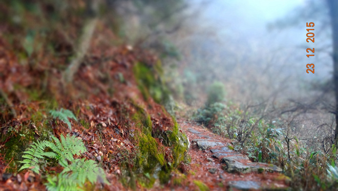 一场穿越千年的时光之旅—黄山百公里越野测线小记