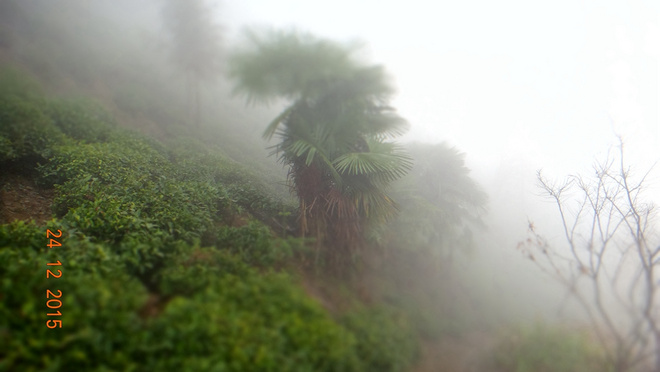 一场穿越千年的时光之旅—黄山百公里越野测线小记