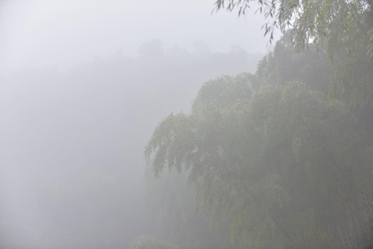 爱上越野爱上你  十全九美莫干山