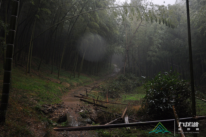 （多图！慎点！）真正的洗肺之旅-九龙湖越野