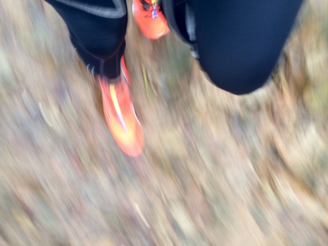 橘色闪电SpeedcrossPro，带你进阶越野