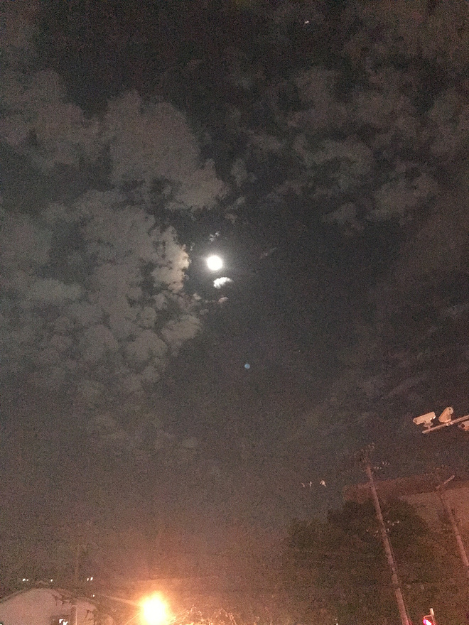 【赛事众测】首次参加圣诞鹿跑