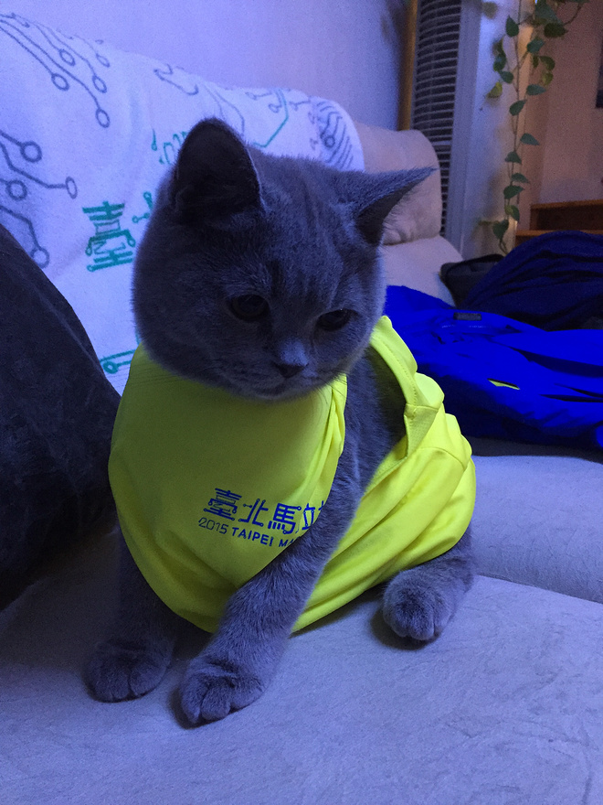 冬季去台北看雨---2015年台北马拉松拾记