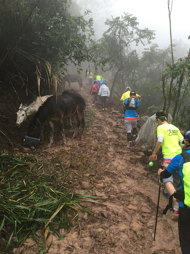 一场虐哭吃货跑渣的泥巴之旅——记首届五虎山越野赛