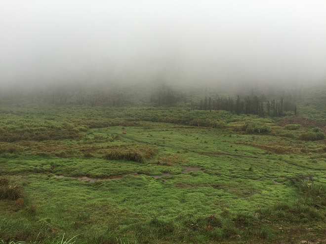 一场虐哭吃货跑渣的泥巴之旅——记首届五虎山越野赛