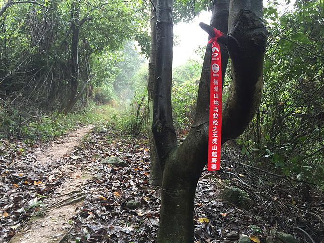 一场虐哭吃货跑渣的泥巴之旅——记首届五虎山越野赛