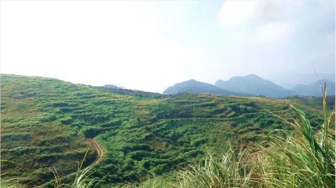 一场虐哭吃货跑渣的泥巴之旅——记首届五虎山越野赛