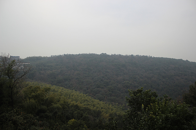 我愿为你翻山越岭--记2015南北湖跑山赛