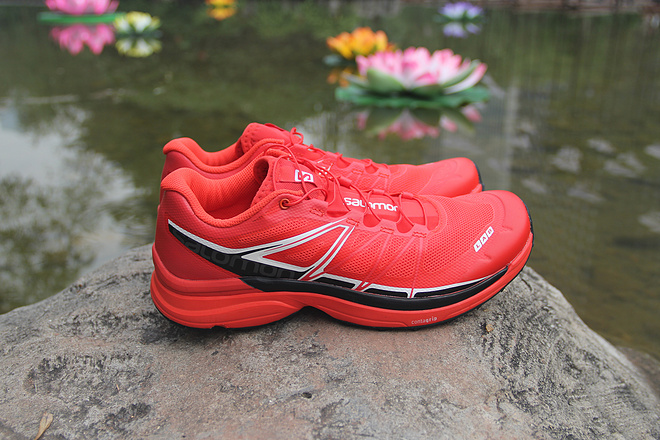 越过山丘，才知道有人等候---冬日里的那一抹红白黑