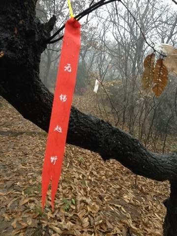 山野迷踪-无锡越野挑战赛