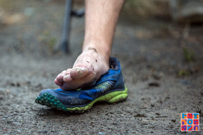 Adventure, Darling——Fat Dog生成记