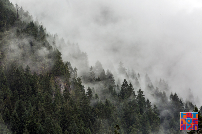 Adventure, Darling——Fat Dog生成记