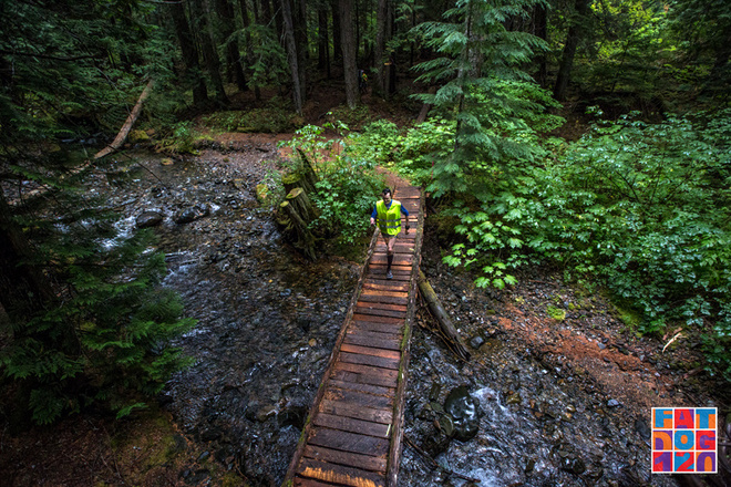 Adventure, Darling——Fat Dog生成记