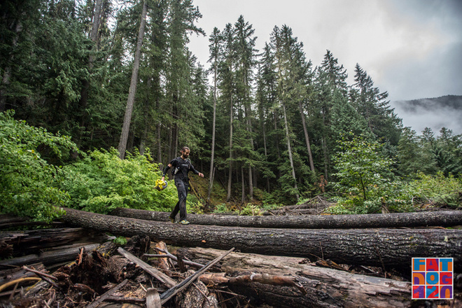 Adventure, Darling——Fat Dog生成记