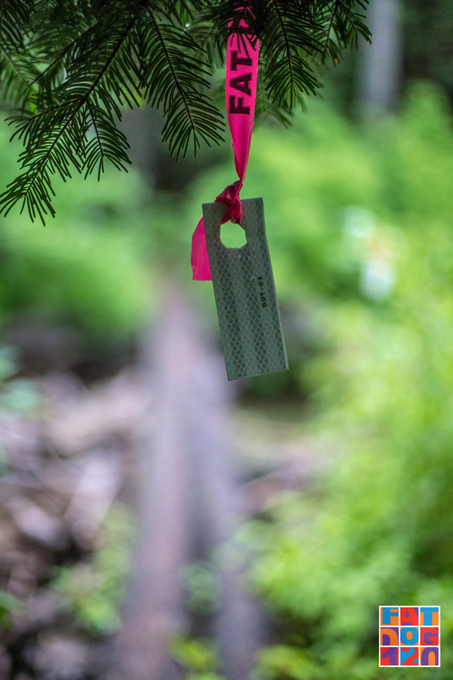 Adventure, Darling——Fat Dog生成记