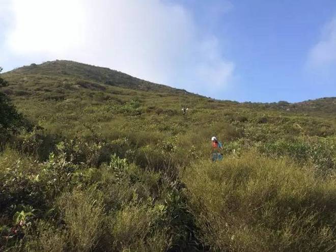 香港TNF100 | 越野跑的不是路，而是一种信仰