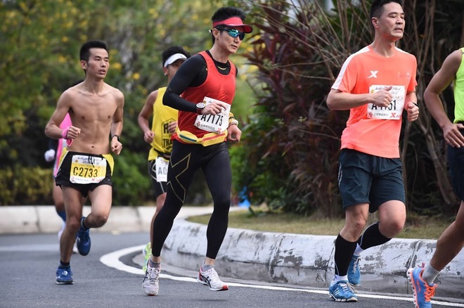 强风吹拂，坚韧如我