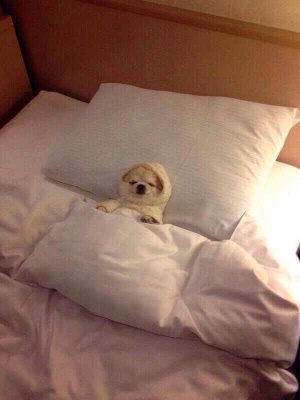 福州山地马拉松之五虎山泥浆越野赛~My first new experience