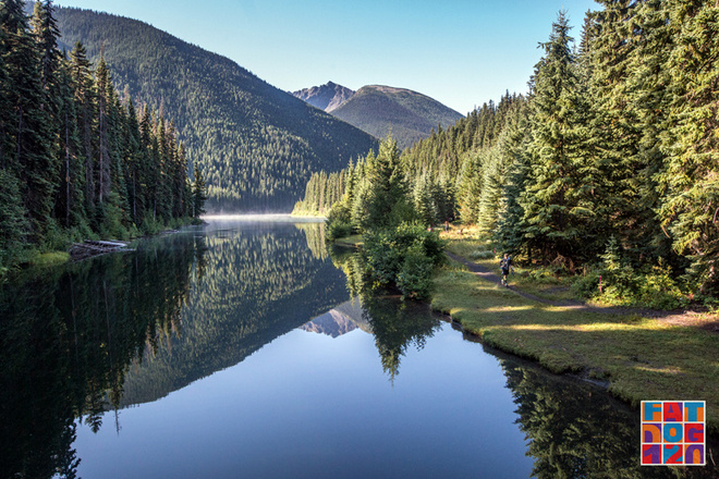 Adventure, Darling——Fat Dog生成记