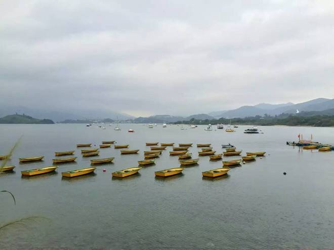 山在海中，人在山中，与熊熊在香港TNF100的故事