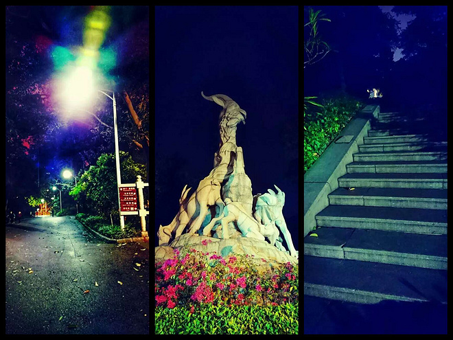 流粉缀金 陪我跑过沿途每一帧风景——女款ASICS MetaRun测评