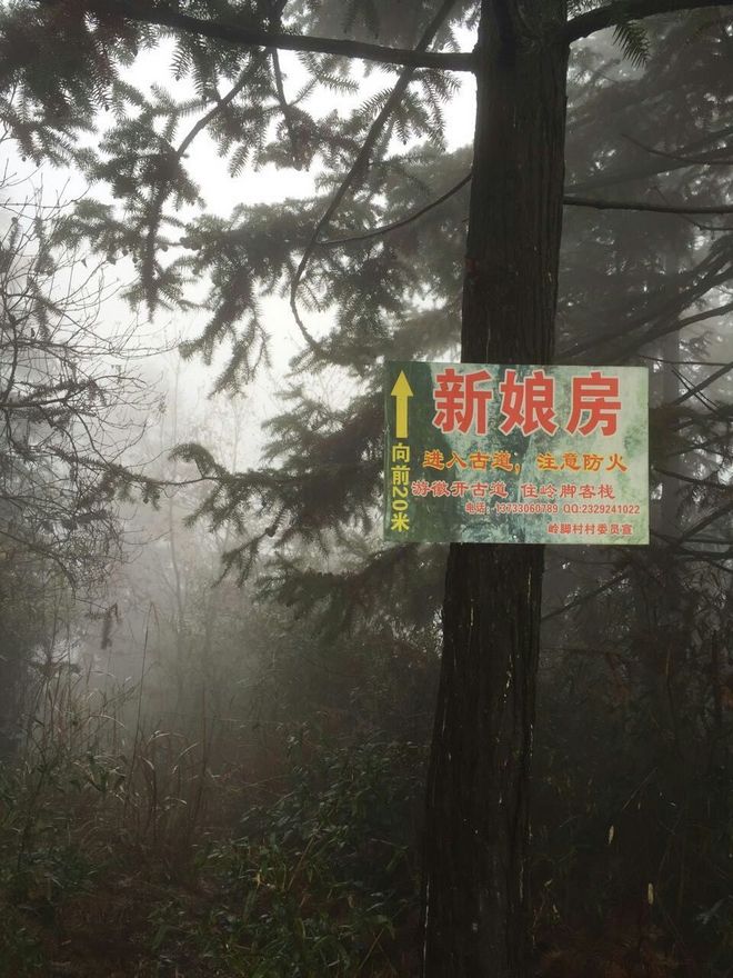 一场穿越千年的时光之旅—黄山百公里越野测线小记