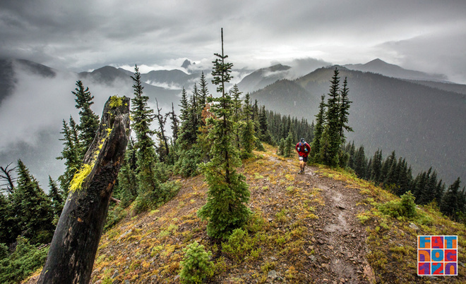 Adventure, Darling——Fat Dog生成记