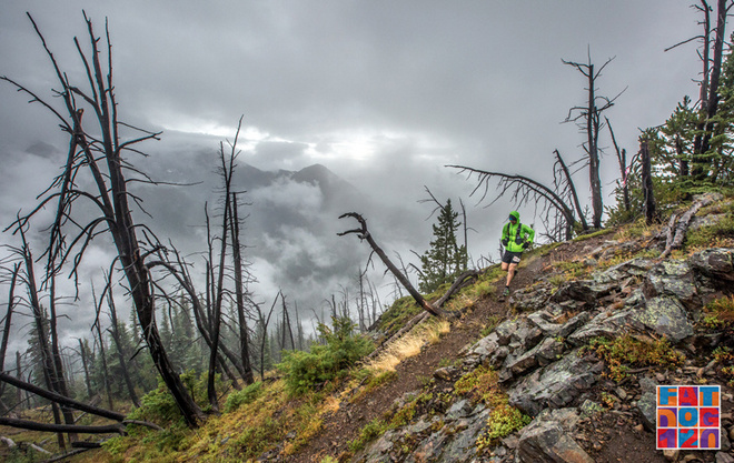 Adventure, Darling——Fat Dog生成记