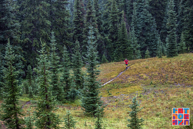 Adventure, Darling——Fat Dog生成记