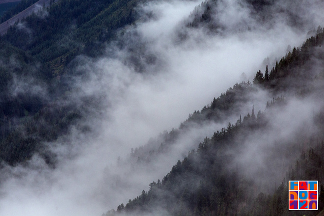 Adventure, Darling——Fat Dog生成记