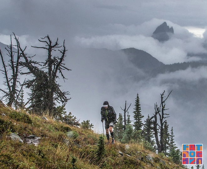 Adventure, Darling——Fat Dog生成记