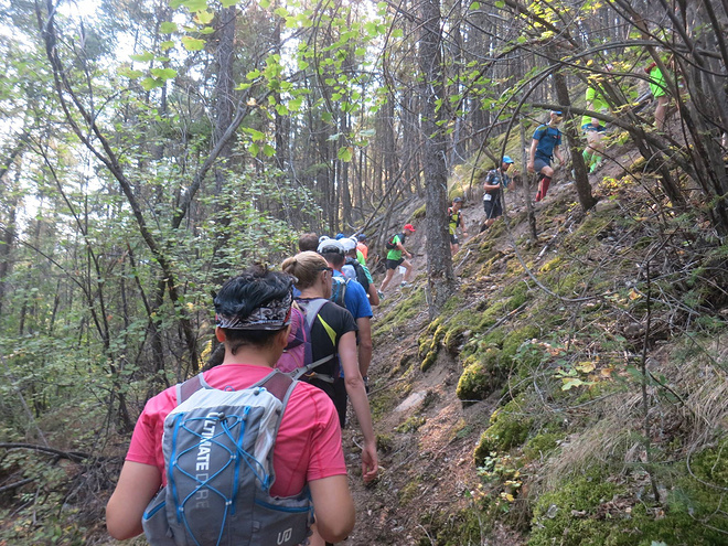 Adventure, Darling——Fat Dog生成记