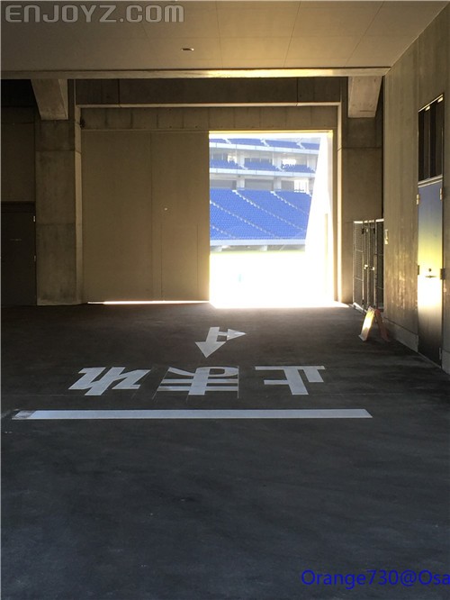 迟到的作业《大阪马拉松-无与伦比的经历》