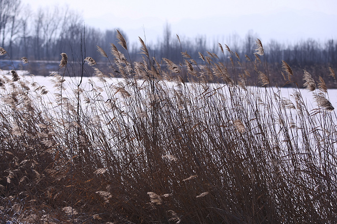 2016野鸭湖冰雪马拉松完赛感受