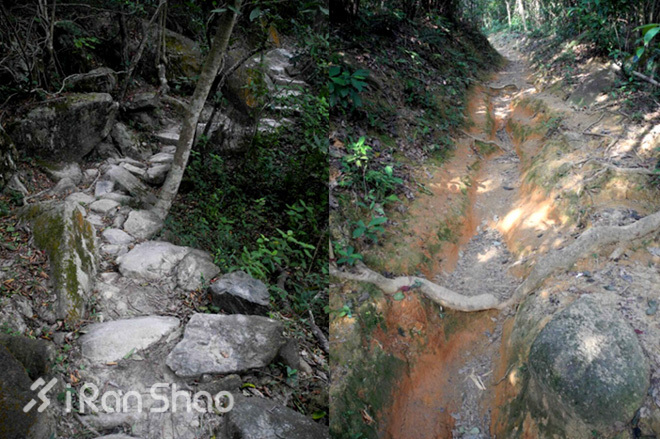 攻略 | 风光无限好，志在金银人，2016 Vibram ® 香港100赛道攻略